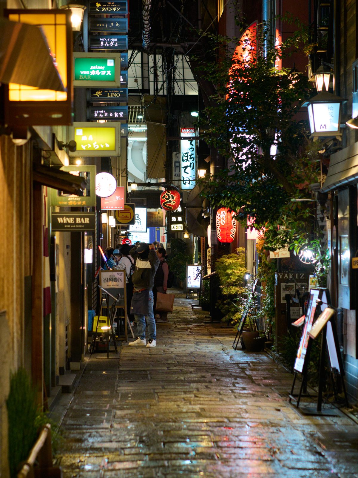 Lanterns along the stone-paved Hozenji Yokocho alley at night