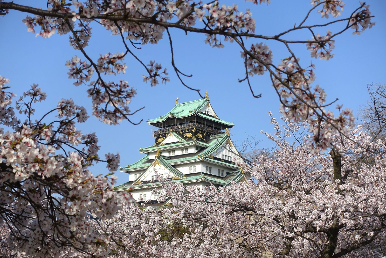 The main keep of Osaka Castle